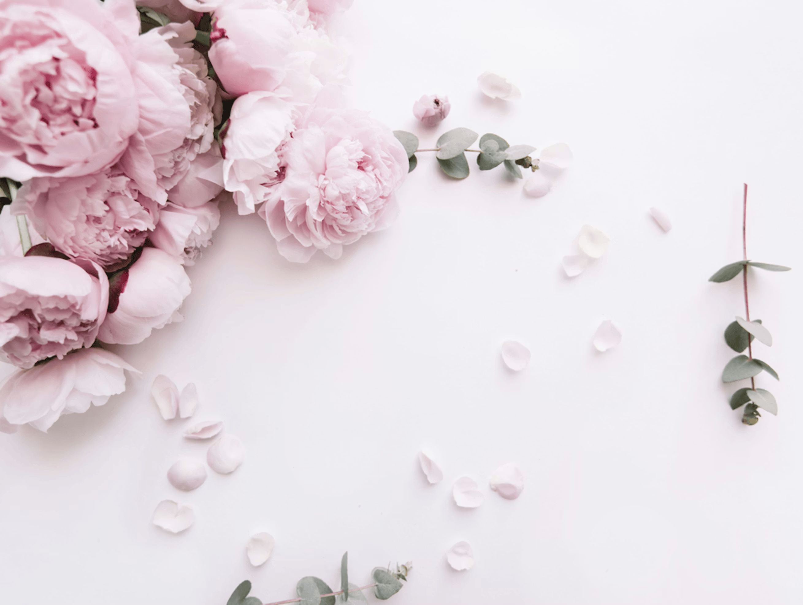 Gerbes et bouquets de Fleurs